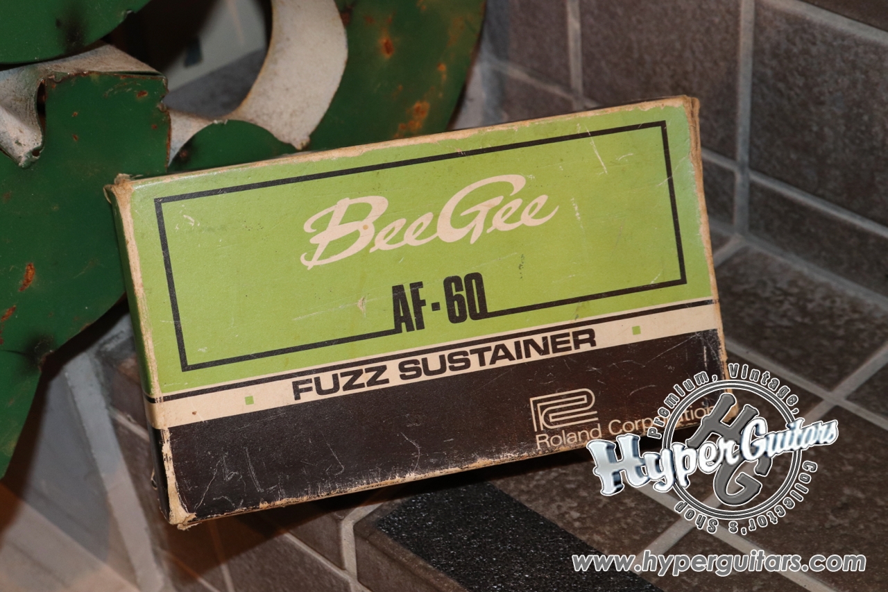 Roland 70's Bee Gee AF-60 - グリーン - Hyper Guitars | ヴィンテージギター  アンプ専門店