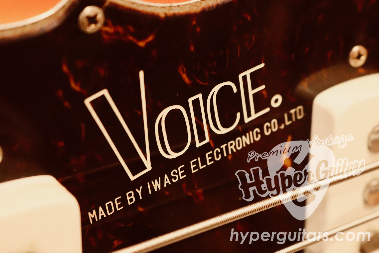 Voice | ハイパーギターズ Hyper Guitars | ヴィンテージギター & アンプ専門店