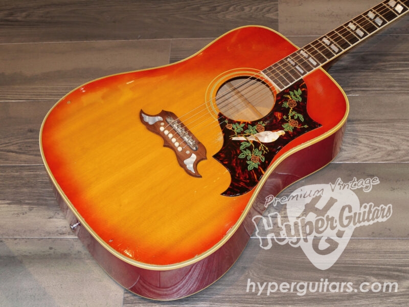 Gibson ’64 Dove