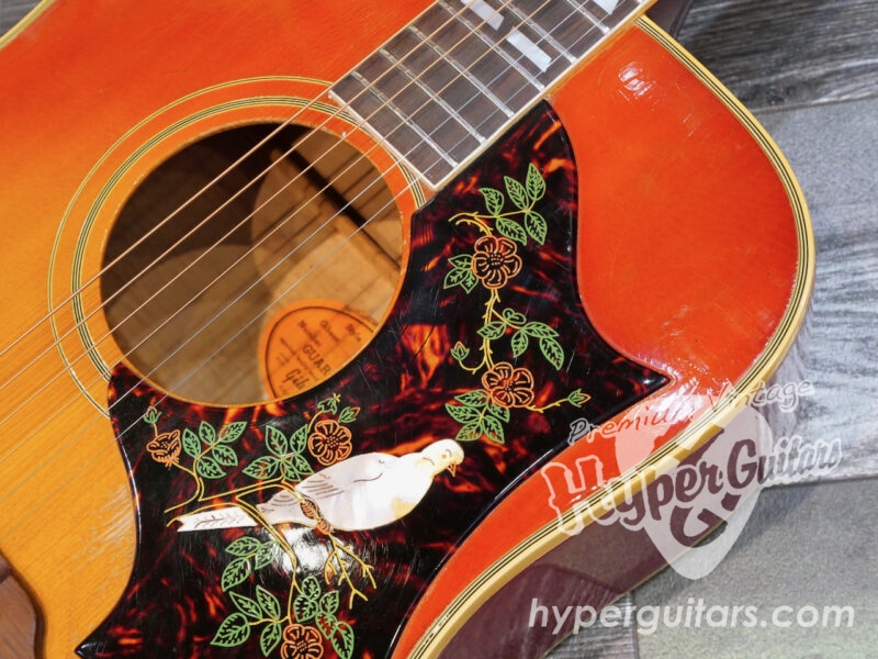 Gibson ’64 Dove