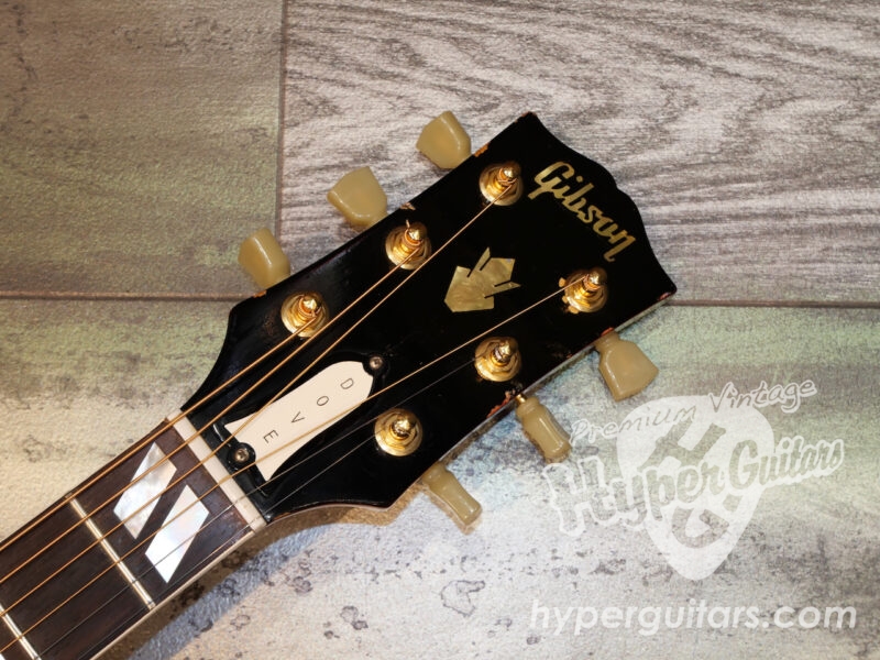 Gibson ’64 Dove