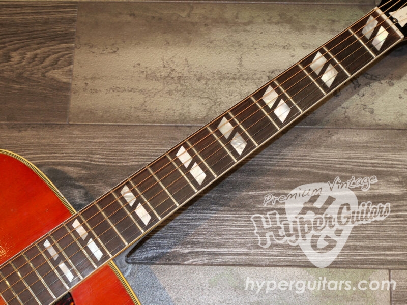 Gibson ’64 Dove