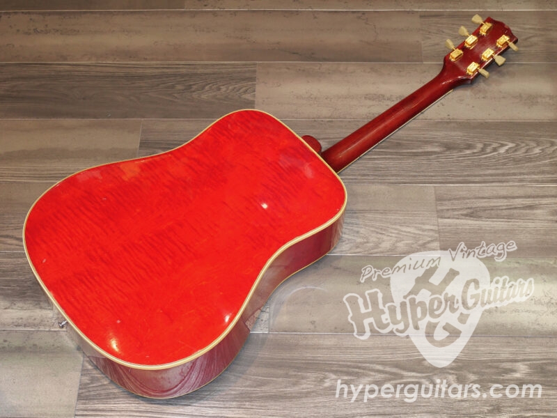 Gibson ’64 Dove