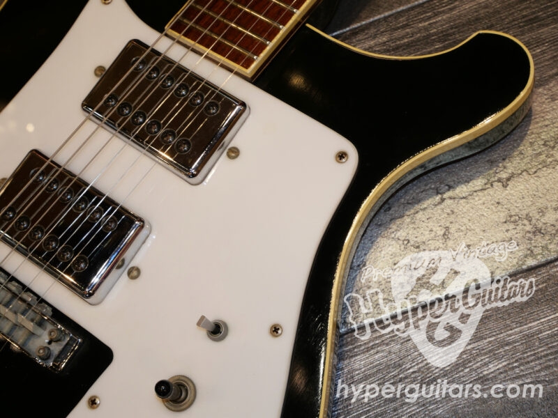 Rickenbacker ’75 #481