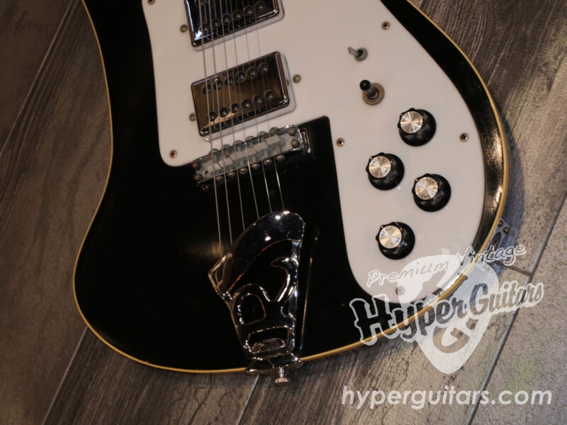 Rickenbacker ’75 #481