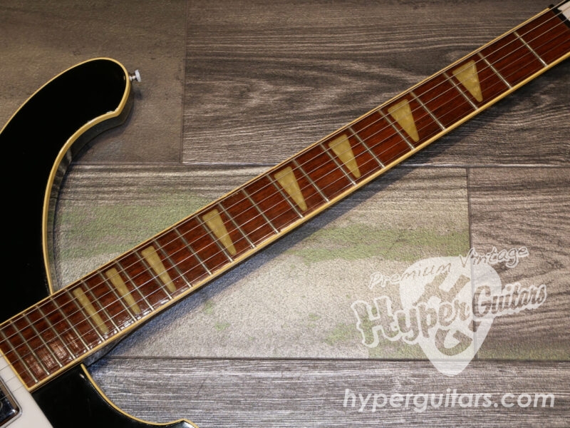Rickenbacker ’75 #481