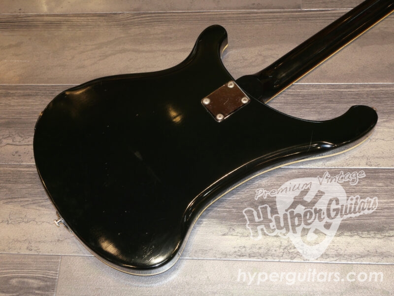Rickenbacker ’75 #481