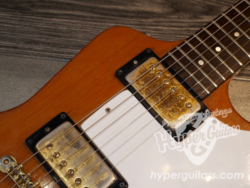 Gibson ’76 Explorer