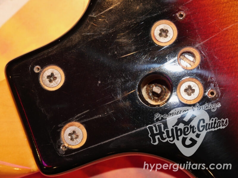 Baldwin 60’s Baby Bison Bass