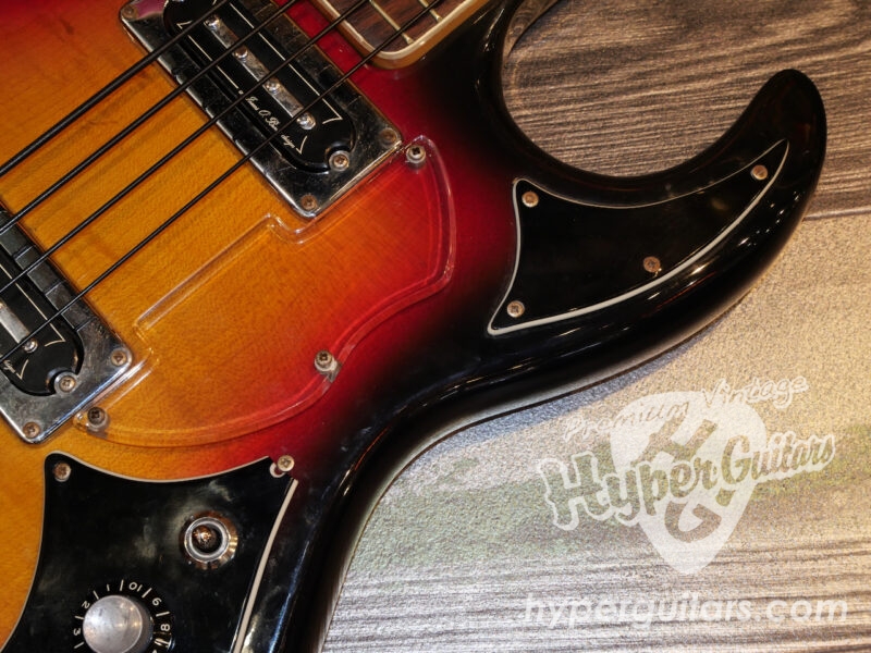Baldwin 60’s Baby Bison Bass