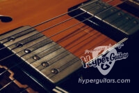 ブロンドイナゴ