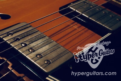 ブロンドイナゴ