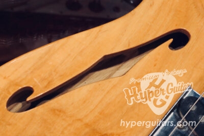 クールセミホロウ