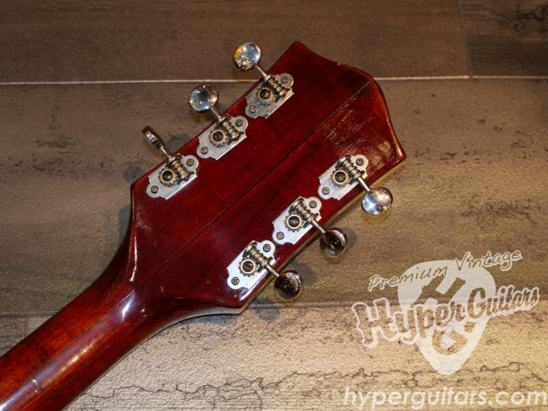 Gretsch ’62 Tennessean #6119