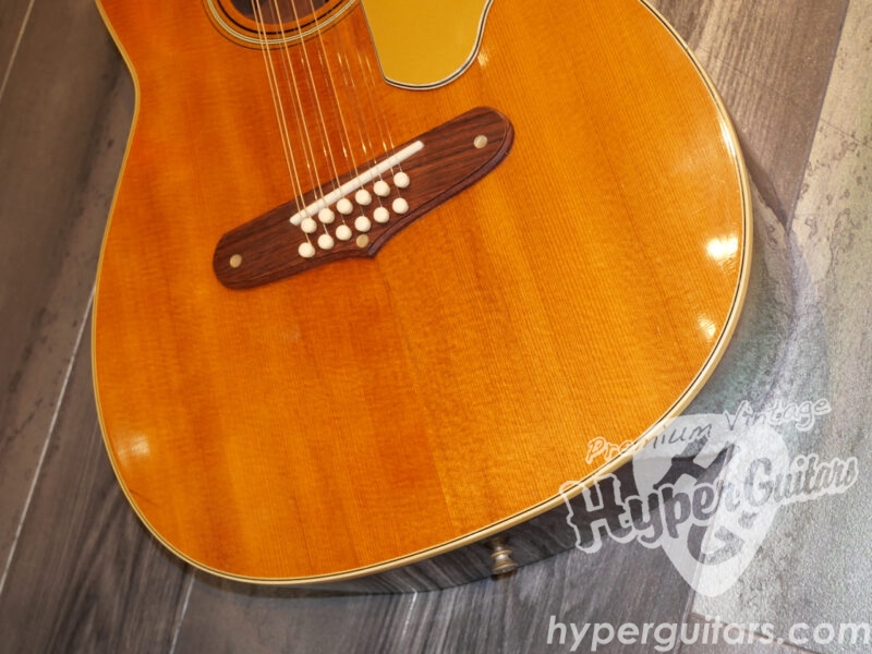 Fender ’69 Villager 12strings