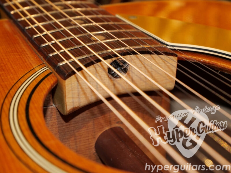 Fender ’69 Villager 12strings